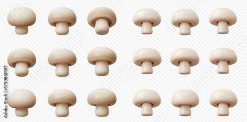 A grid of fifteen white button mushrooms on a transparent background.