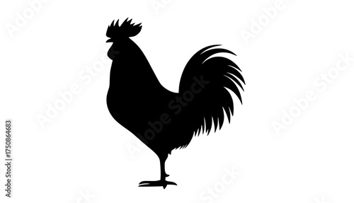 a black silhouette of a rooster on a plain transparent backgroundblack, cock, illustration, profile, stand, symbol 