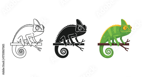 Chameleon on branch vector illustration
