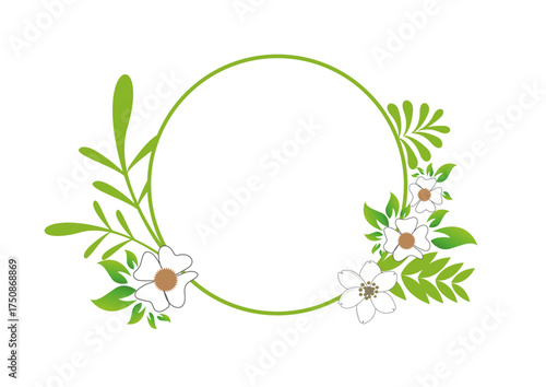 cercle encadré avec des plantes vertes