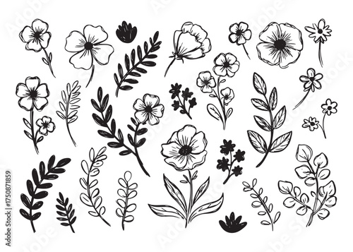 Black and white doodle floral pattern nature illustrations for textile design