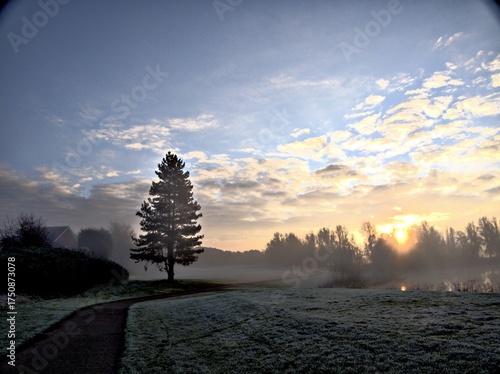 sunset in the mountains, sky, tree, park, mist,walk
