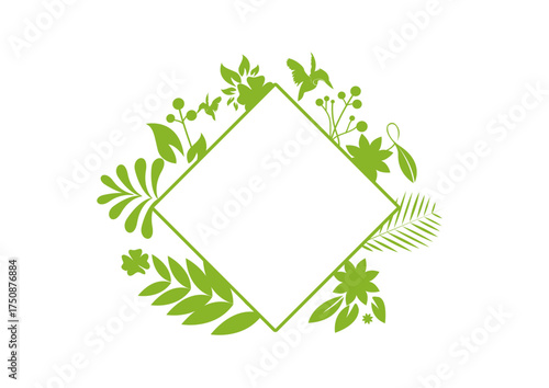 cadre carré avec des plantes vertes