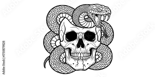 Snake & Skull Artwork with Detailed Scales & Teeth. Black & White Outline Line Art Drawing. Gothic, Death, Rebirth, & Fantasy Graphic.

