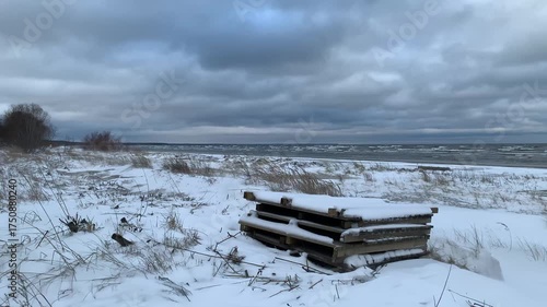 Wallpaper Mural Strong winds and snow with drifting snow on the shore of the winter Baltic Sea Torontodigital.ca