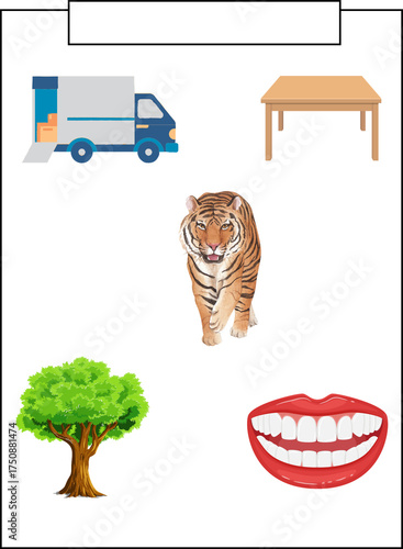 Tiger, tree, truck, table, and teeth on white background illustration. 