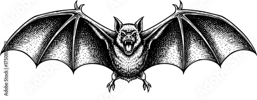 Wild screeching bat vector illustration engraved look