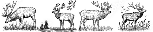 A deer with antlers is depicted in a silhouette illustration standing amidst grass, exemplifying natural elegance