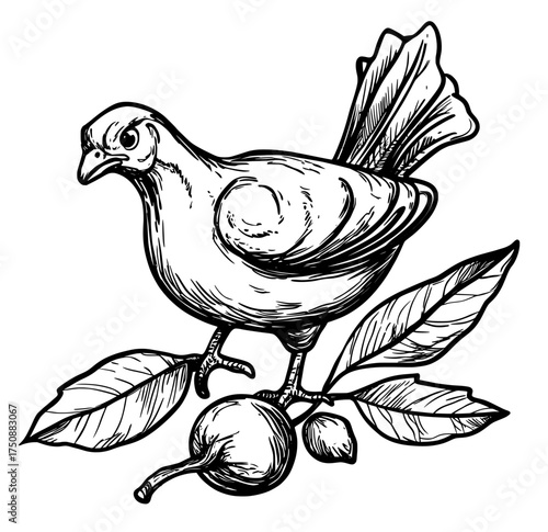 The outline of a turkey with intricate feather details is perfect for Thanksgiving and wildlife themes