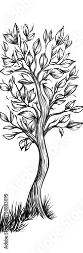 A stylized tree is represented by an abstract black and white silhouette that includes intricate branches and leaves