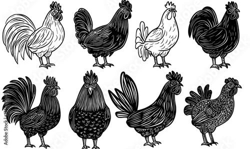 A repeating pattern of black rooster silhouettes is set against a white background for design purposes