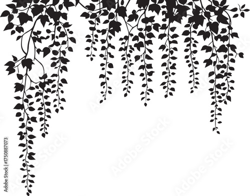 Hanging vines silhouette vector in black and white with cascading leaves for nature-themed decoration