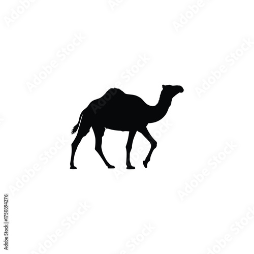 Camel Silhouette animal mammal desert africa middle east walking wildlife nature illustration graphic icon symbol black white isolated