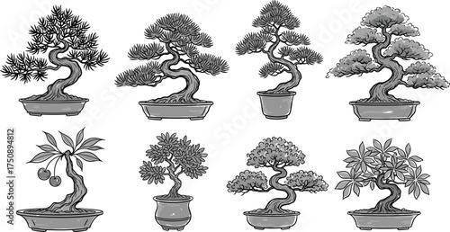 Hand drawn black and white bonsai tree collection in pots, detailed vector illustration perfect for zen garden and botanical design projects.