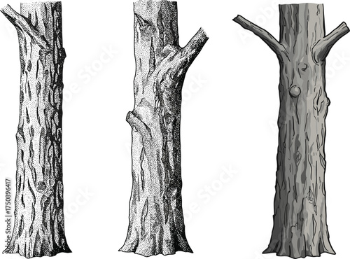 Hand-drawn tree trunk vector illustration set with textured bark details, isolated on white background for forest, wood, and nature design.