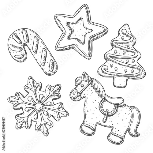 Christmas gingerbread hand drawn cookies. Christmas tree, star, horse, candy, snowflake. Vector illustration.