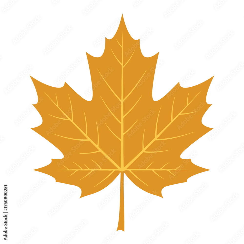 Obraz premium Golden maple leaf