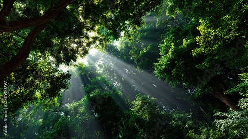 A person watering a lush, green garden with water drops sparkling on the trees, set against a beautiful nature landscape featuring a waterfall and forest