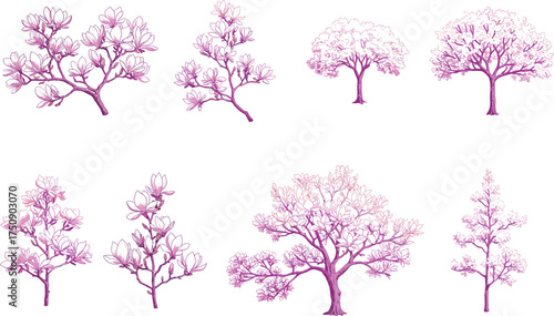 Pink floral tree and branch illustrations in botanical sketch style, perfect for spring themes, floral designs, and elegant vector artwork.