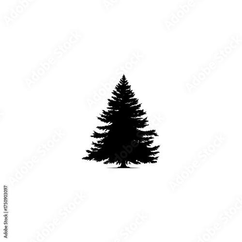 Dark silhouette of Christmas tree isolated on transparent background 