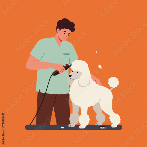 Stylized male groomer trims a white poodle with clippers on an orange backdrop