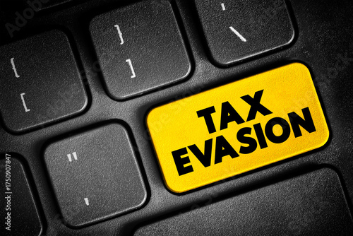 Quadro em tela Tax Evasion is an illegal attempt to defeat the imposition of taxes by individua