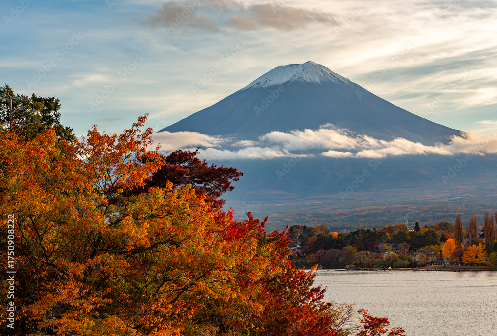 Fototapeta premium Mount Fuji in autumn, Fujikawaguchiko, Japan