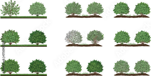Realistic green garden shrub bushes collection isolated on white background, landscape plant set for nature design illustration and architecture projects