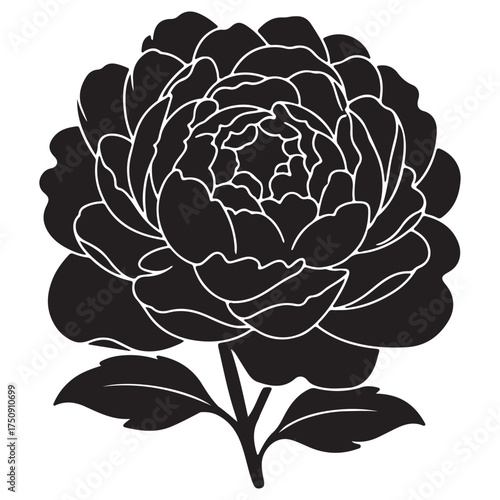 Black and White Peony Silhouette  Minimalist Bloom with Leaves Vector Illustration