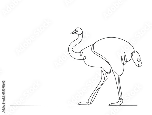 Continuous one line drawing of Ostrich bird. Ostrich bird line art vector illustration. Animal concept design.