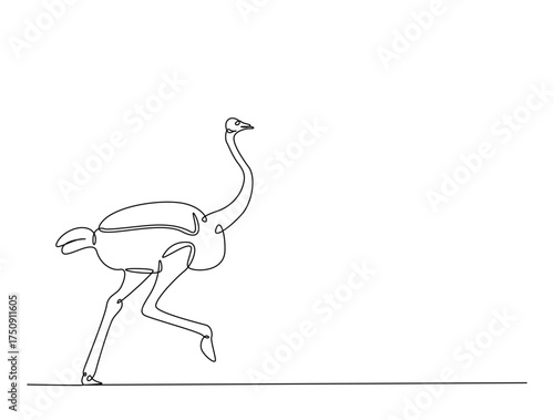 Continuous one line drawing of Ostrich bird. Ostrich bird line art vector illustration. Animal concept design.