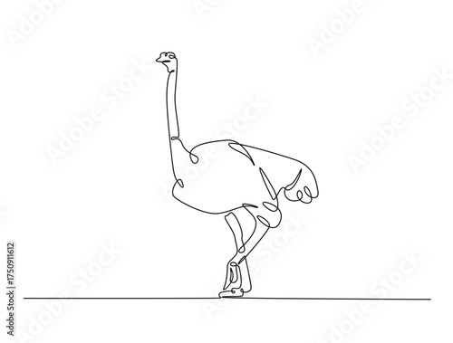 Continuous one line drawing of Ostrich bird. Ostrich bird line art vector illustration. Animal concept design.