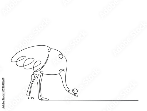 Continuous one line drawing of Ostrich bird. Ostrich bird line art vector illustration. Animal concept design.
