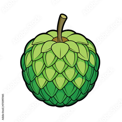 Illustration of a bright green cherimoya fruit