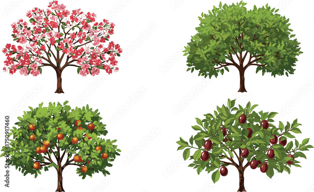 Fototapeta premium Set of cartoon fruit and flowering trees with green leaves, blossoms, and ripe fruits, isolated vector illustration on white background.