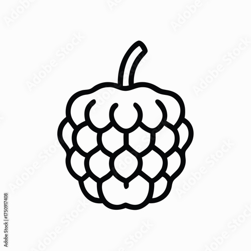 Illustration of a custard apple in black lines