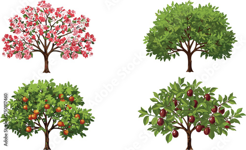 Set of cartoon fruit and flowering trees with green leaves, blossoms, and ripe fruits, isolated vector illustration on white background.