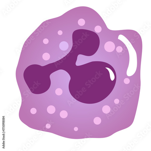 Neutrophil cell graphic offers a detailed look at human biology for educational purposes and medical research, perfect for science and health projects.