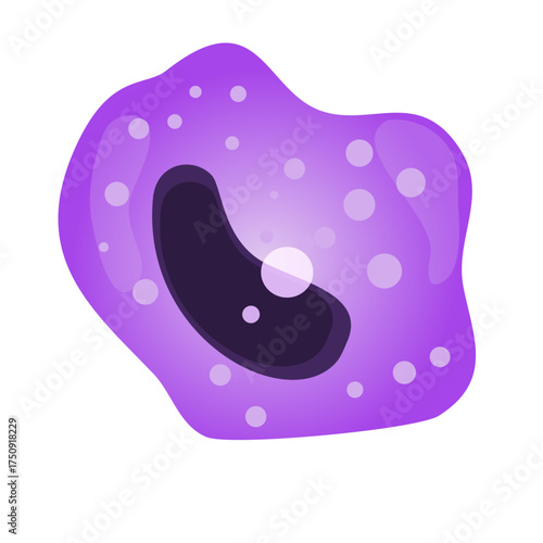 Detailed eosinophil illustration for medical education and science presentations, a visually clear and engaging depiction of white blood cells