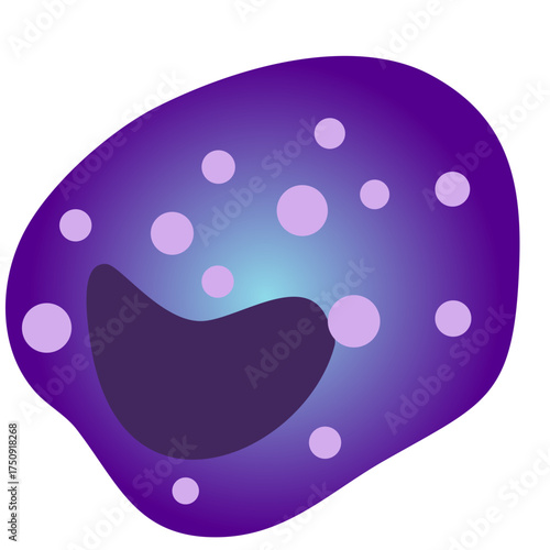 Eosinophil illustration for medical education materials showing immune response, allergies, and parasitic infections with detailed cell structure