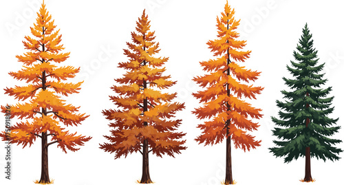 Set of cartoon pine trees with vibrant orange autumn and green foliage, isolated vector illustration for seasonal forest nature design.