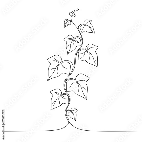 Climbing ivy vine in a continuous single-line drawing, black and white, representing growth and nature, with copy space