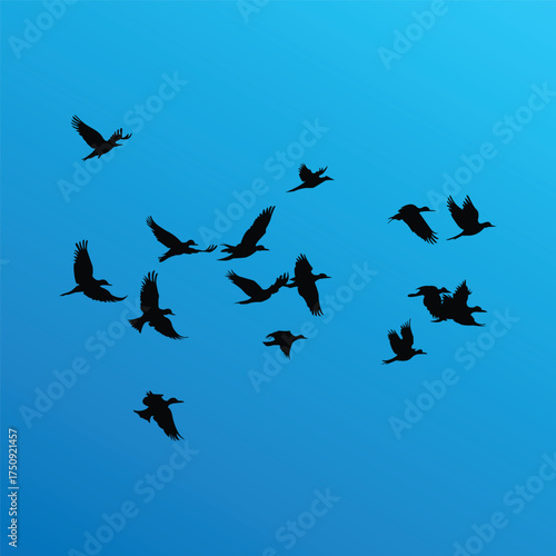 Bird silhouettes vector collection set about different flying and perched bird positions.