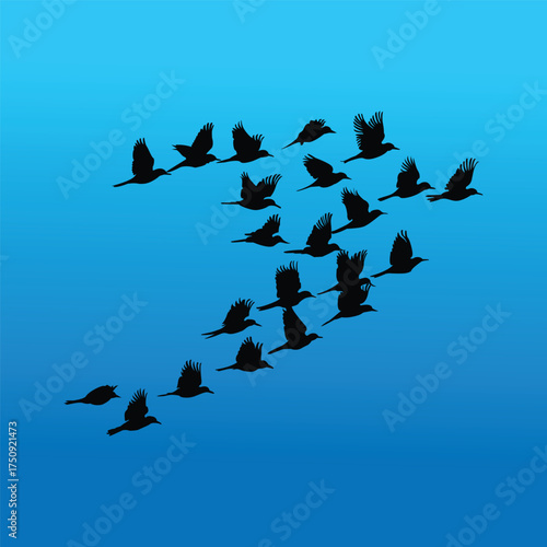 Bird silhouettes vector collection set about different flying and perched bird positions.