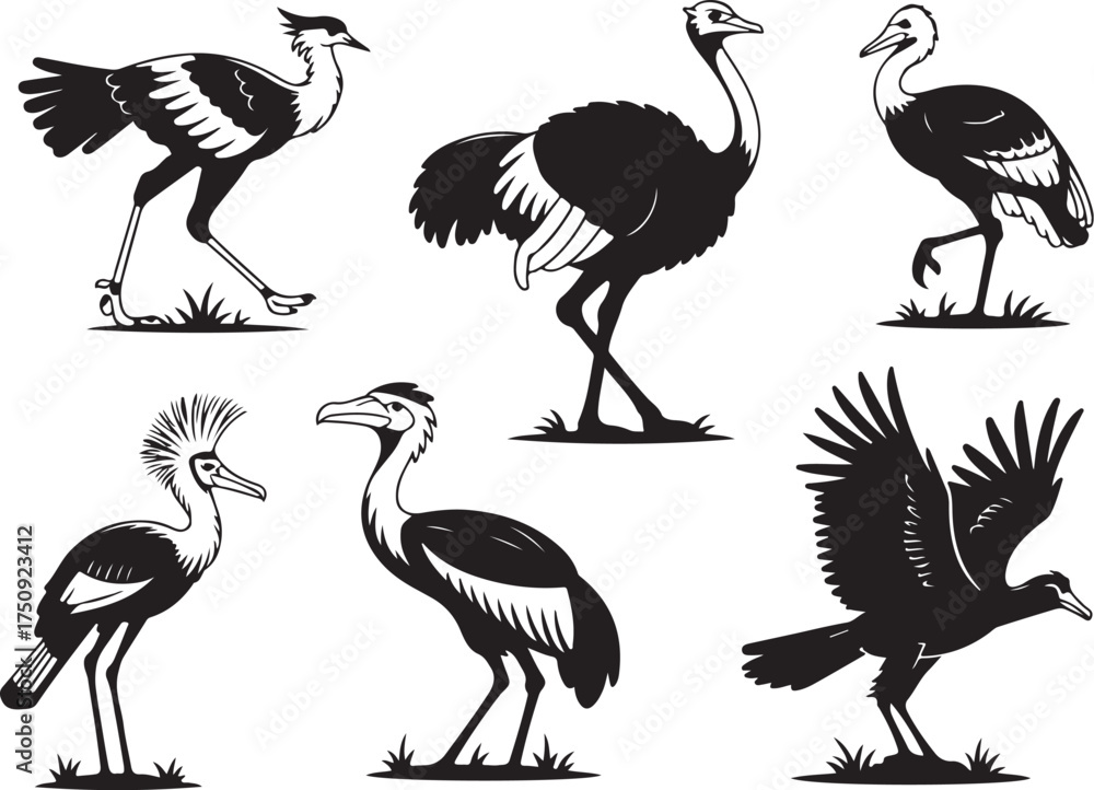 Naklejka premium Exotic birds silhouette collection on white