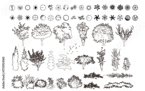 Top View Vector Icons of Trees and Plants for Floor Plan and Architectural Design Projects	
