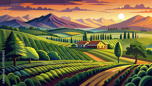 Very beautiful landscape of Virginia Wine Country near Charlottesville with vineyard hills, glowing sunset, and endless rows of green vines.
