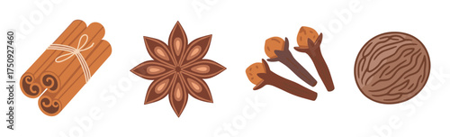 Flat illustration of cinnamon sticks, star anise, cloves, and a whole nutmeg, showcasing common spices used in cooking and baking.