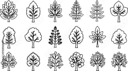 stylized line art illustrations of trees with varying leaf structures.

