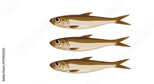 Three small fish swimming in a row on a white background.